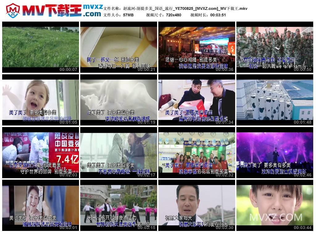 赵流河-别提多美_国语_流行_YE700825